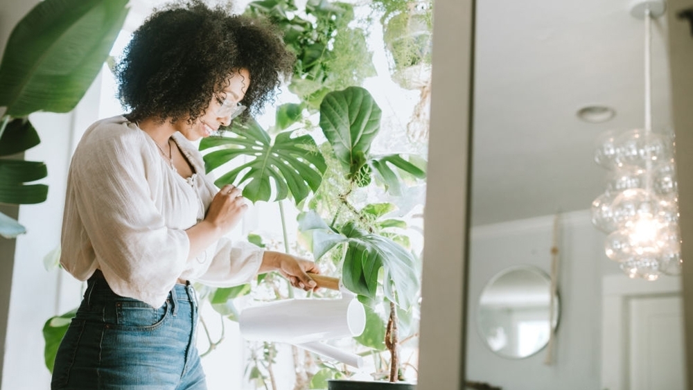 A young woman waters her houseplants