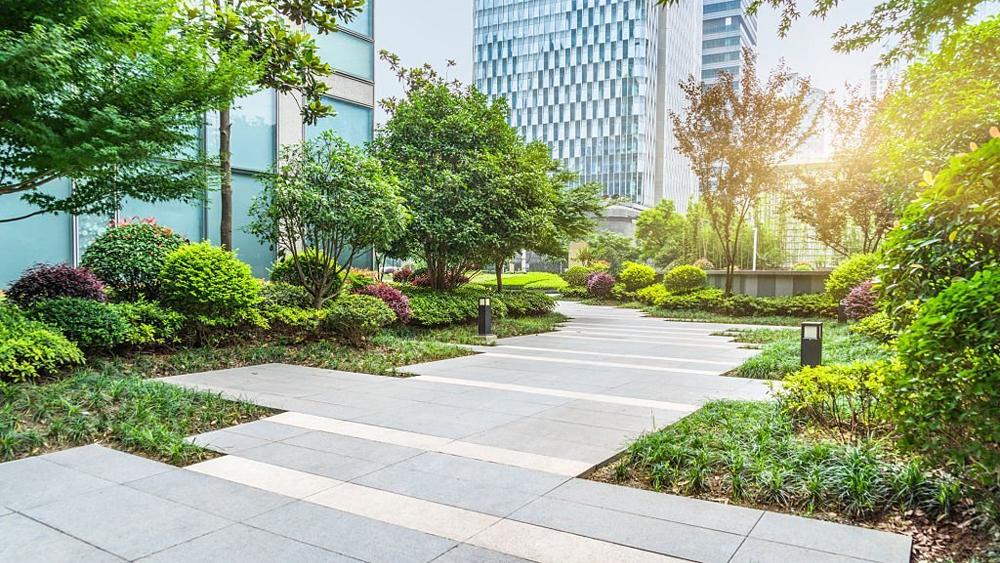 Beautiful apartment garden on sunny day