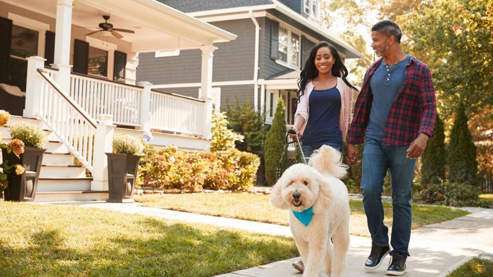 Couple walking dog along suburban street