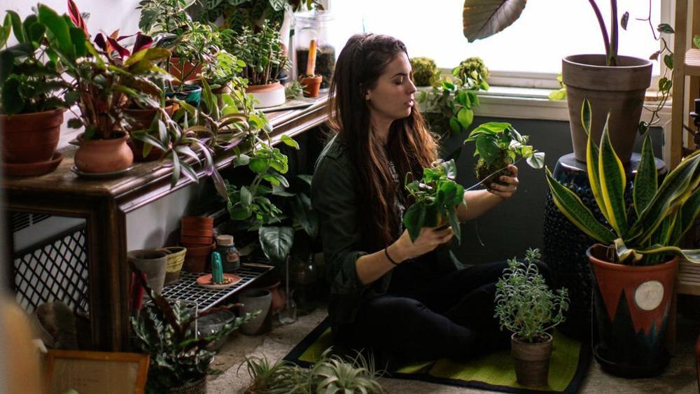 Young woman at home watering indoor house plants