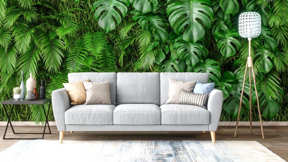 Sofa with plants on wall background