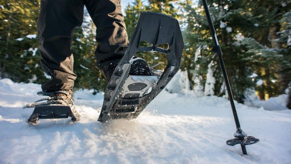 Hiker snowshoeing on trail-through winter forest Canada