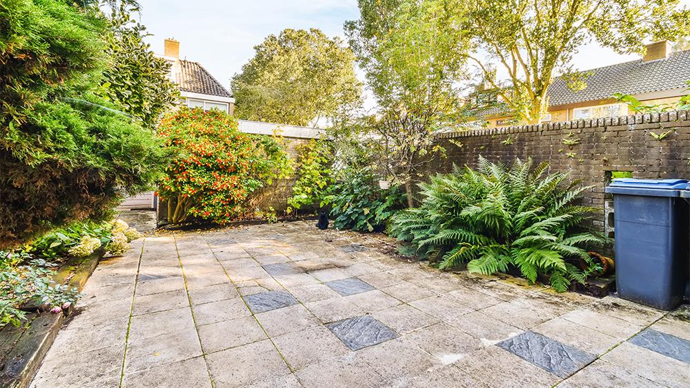 Clean yard with beautiful plants and trees